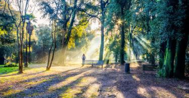 Borghese Parkı'nda güzel bir gün