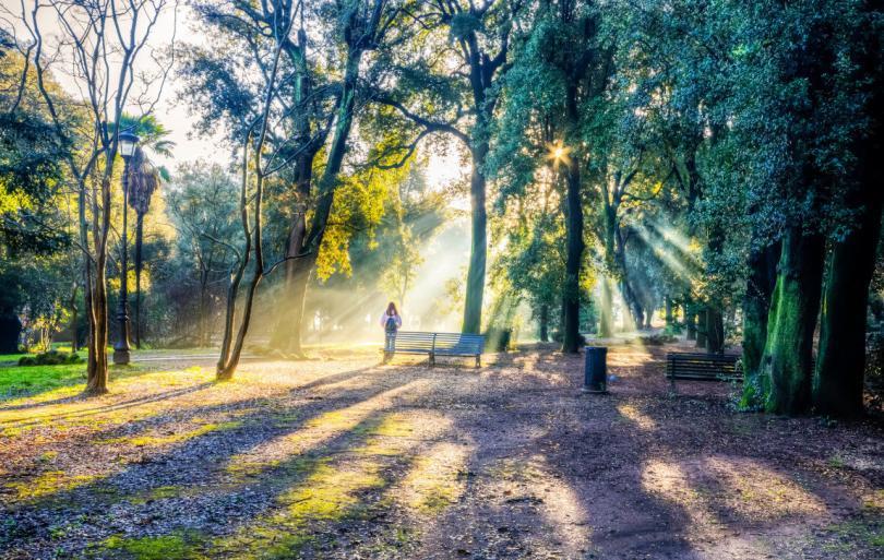 Borghese Parkı'nda güzel bir gün