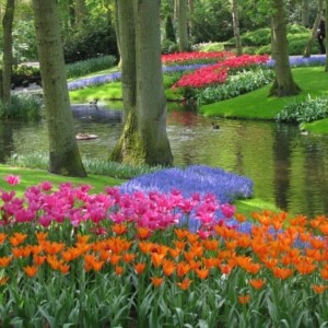 Keukenhof Bahçeleri - Müze Biletleri