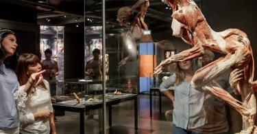 Body Worlds Mutluluk Projesi Bileti