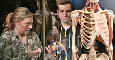 Body Worlds Mutluluk Projesi Bileti